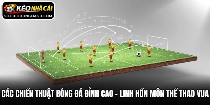 Các Chiến Thuật Bóng Đá Đỉnh Cao - Linh Hồn Môn Thể Thao Vua
