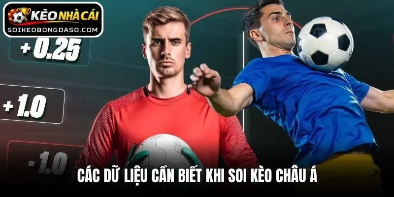 Các dữ liệu cần biết khi soi kèo châu Á