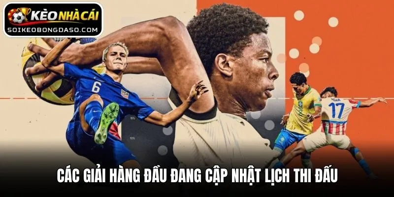Lịch Thi Đấu 3 Các giải hàng đầu đang cập nhật lịch thi đấu
