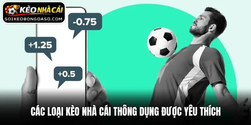Các Loại Kèo Nhà Cái Thông Dụng - Tổng Hợp Mới Nhất 3 Các loại kèo nhà cái thông dụng được yêu thích