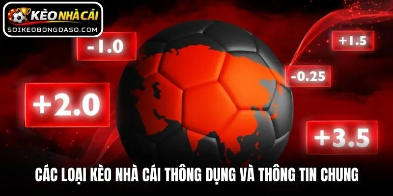 Các Loại Kèo Nhà Cái Thông Dụng - Tổng Hợp Mới Nhất 1 Các loại kèo nhà cái thông dụng và thông tin chung