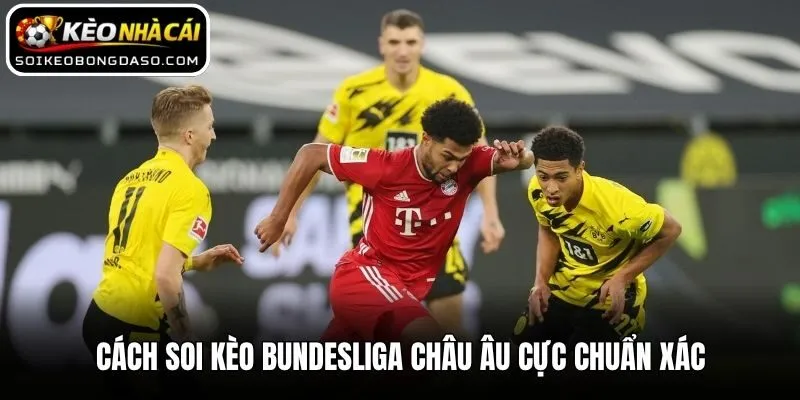 Soi Kèo Bundesliga - Nhận Định Cực Chuẩn Từ Chuyên Gia 2 Cách soi kèo Bundesliga châu Âu cực chuẩn xác