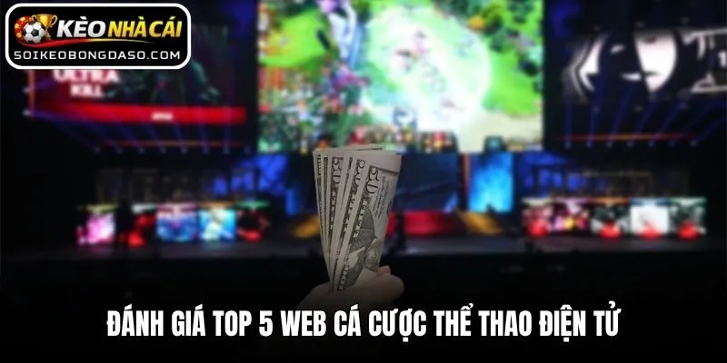 Đánh giá top 5 web cá cược thể thao điện tử
