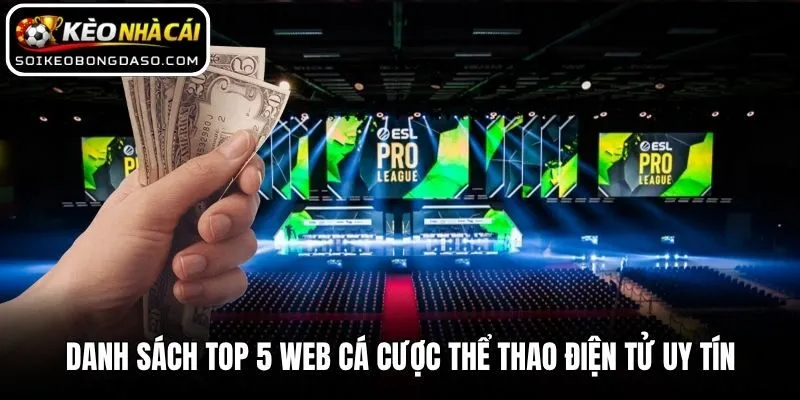 Danh sách top 5 web cá cược thể thao điện tử uy tín
