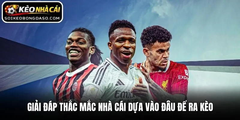 Nhà Cái Dựa Vào Đâu Để Ra Kèo Và Những Điều Bạn Cần Biết 2 Giải đáp thắc mắc nhà cái dựa vào đâu để ra kèo