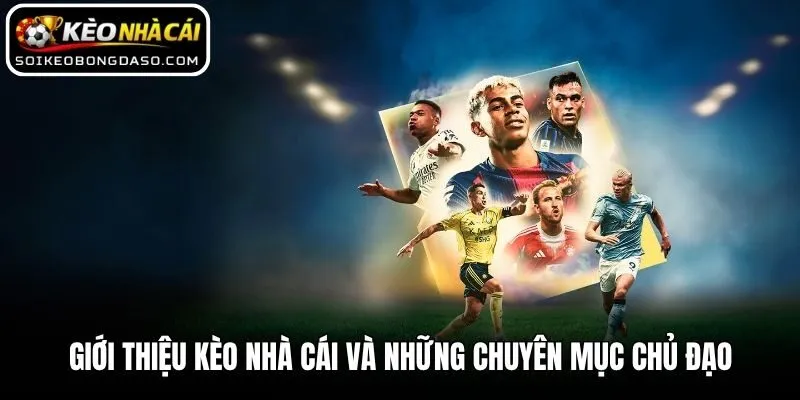 Giới thiệu Kèo nhà cái và những chuyên mục chủ đạo