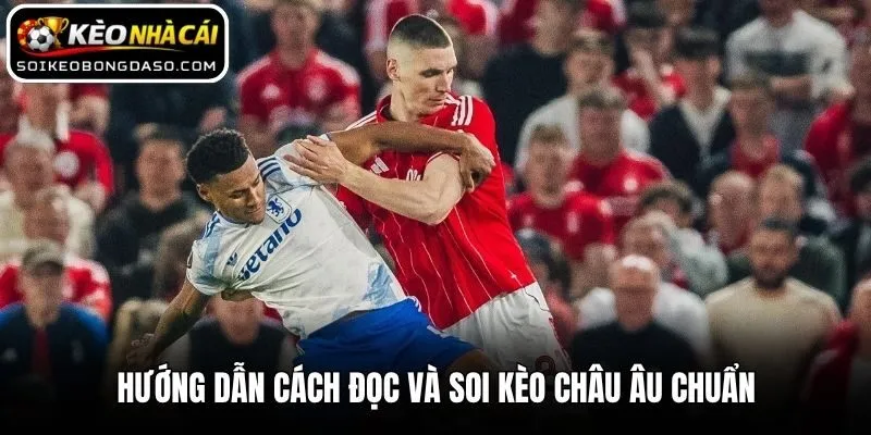 Bật Mí Cách Soi Kèo Châu Âu Hiệu Quả Từ Các Chuyên Gia 2 Hướng dẫn cách đọc và soi kèo châu Âu chuẩn