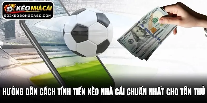 Hướng Dẫn Cách Tính Tiền Kèo Nhà Cái Chuẩn Nhất Cho Tân Thủ