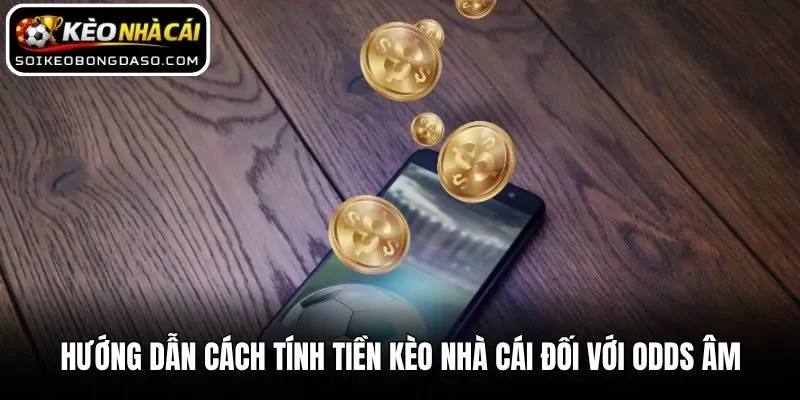 Hướng Dẫn Cách Tính Tiền Kèo Nhà Cái Chuẩn Nhất Cho Tân Thủ 3 Hướng dẫn cách tính tiền kèo nhà cái đối với Odds âm