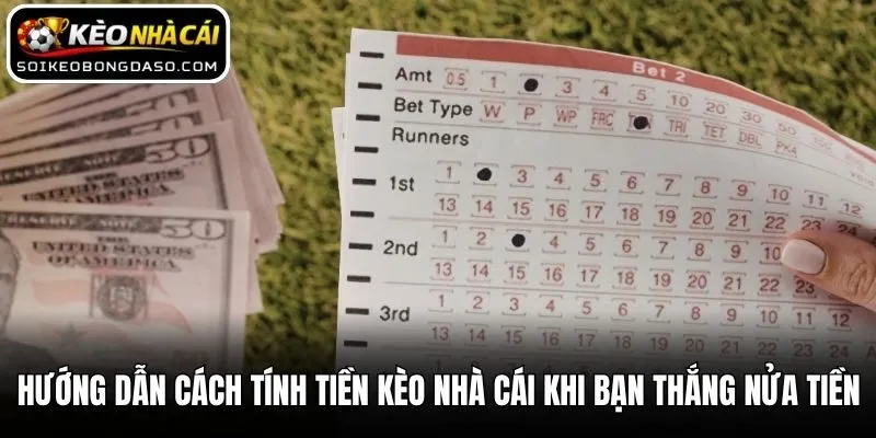 Hướng Dẫn Cách Tính Tiền Kèo Nhà Cái Chuẩn Nhất Cho Tân Thủ 2 Hướng dẫn cách tính tiền kèo nhà cái khi bạn thắng nửa tiền