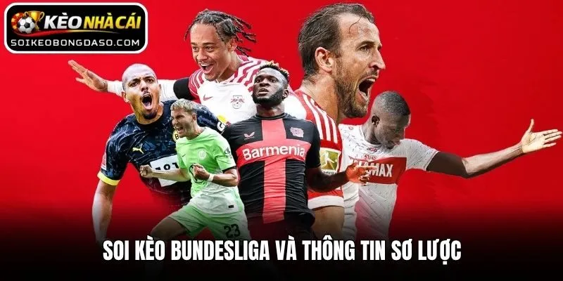 Soi Kèo Bundesliga - Nhận Định Cực Chuẩn Từ Chuyên Gia 1 Soi Kèo Bundesliga và thông tin sơ lược