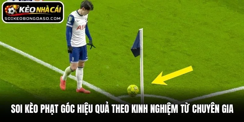 Soi Kèo Phạt Góc Hiệu Quả Theo Kinh Nghiệm Từ Chuyên Gia