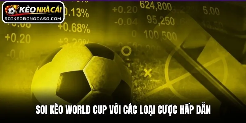 Soi kèo World Cup với các loại cược hấp dẫn