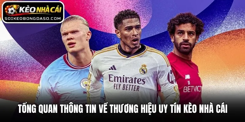 Kèo Nhà Cái ⭐️ Keonhacai - Cập Nhật Kèo Nhà Cái Hôm Nay Mới Nhất 2026 7 Tổng quan thông tin về thương hiệu uy tín Kèo nhà cái
