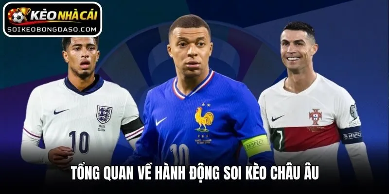 Bật Mí Cách Soi Kèo Châu Âu Hiệu Quả Từ Các Chuyên Gia 1 Tổng quan về hành động soi kèo châu Âu