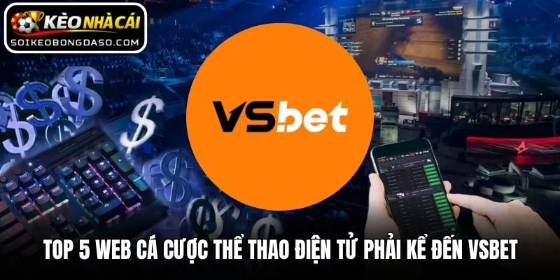 Top 5 web cá cược thể thao điện tử phải kể đến VSBET