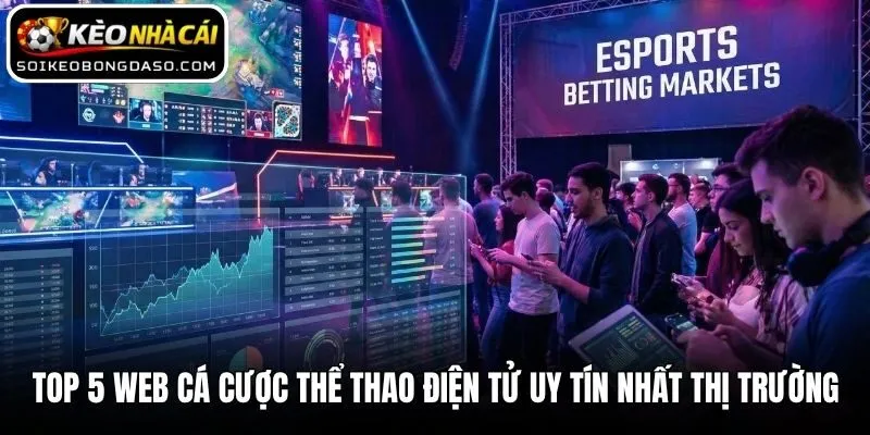 Top 5 Web Cá Cược Thể Thao Điện Tử Uy Tín Nhất Thị Trường